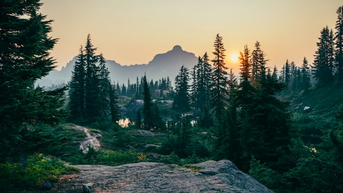 Nature viewed through outdoor optics